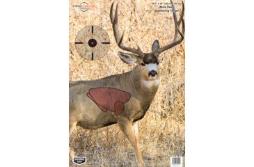 Image of Birchwood Casey Pregame Targets, BC-35402