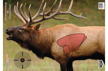 Image of Birchwood Casey Pregame Targets, BC-35404