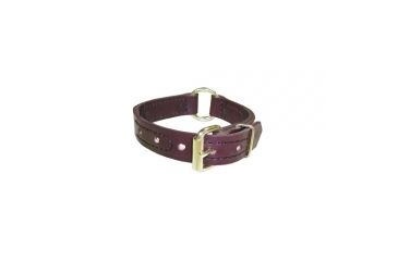 Image of Boston - CENTER RING DOG COLLAR