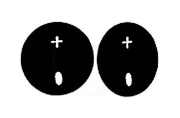 Image of Boston Leather Shirt Protector Oval - 5678-1