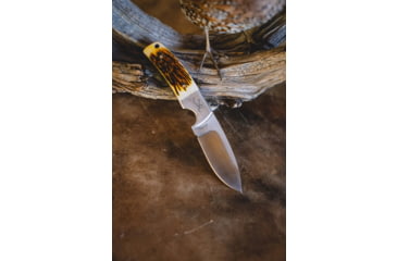 Image of Browning Buckmark Hunter Fixed Blade Knife, 3in, 8Cr13MoV, Drop Point, Bone Handle, Leather, 3220509