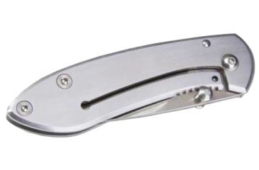 Image of Buck Knives Colleague Stainless Handle 0325SSS