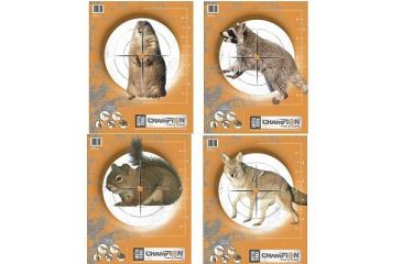 Image of Champion Target Champion Practice Targets 10 Pack 45781