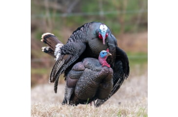 Image of Dave Smith Decoys 3/4 Strut Jake Decoy
