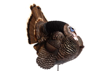 Image of Dave Smith Decoys Jake Strutter Decoy