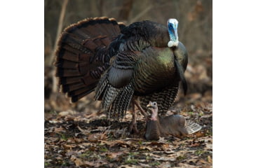 Image of Dave Smith Decoys Mating Hen Decoy