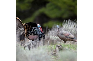 Image of Dave Smith Decoys Upright Hen Decoy