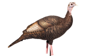 Image of Dave Smith Decoys Upright Hen Decoy