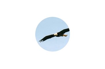 Image of view with extender