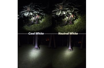 Image of Eagtac MX25L4 Turbo  Flashlight, SST-90 P-bin LED, 2850lm, Black 2162