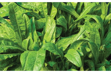 Image of Evolved Habitats Prograze - 4Lb, Black, EVL-EVO70400