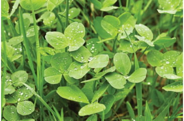 Image of Evolved Habitats Prograze - 4Lb, Black, EVL-EVO70400