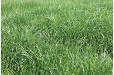 Image of Evolved Habitats Throw &amp; Gro X-Treme w/ Radish - 5Lb, Black, EVL-EVO73005