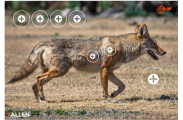 Image of EZ-Aim Allen Paper Four Color Coyote Target, 25X35, 15284