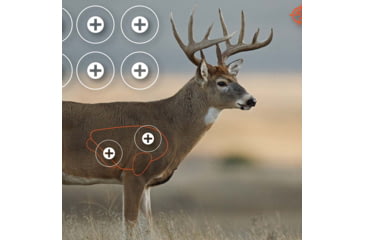 Image of EZ-Aim Paper Four Color Whitetail Target, 25X35, 15286