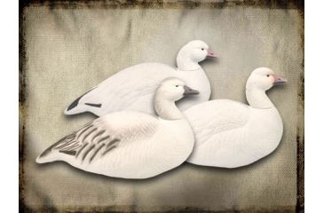 Image of Final Approach Last Pass 12 Pack Snow Goose, Shells Upright, Box