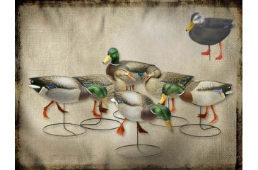 Image of Final Approach FA Gunners HD Field Mallards/black Ducks (oversized)