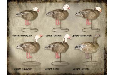 Image of Final Approach FA Last Pass HD Blue Goose Full-Body (Uprights) 474195 w/ Free S&amp;H