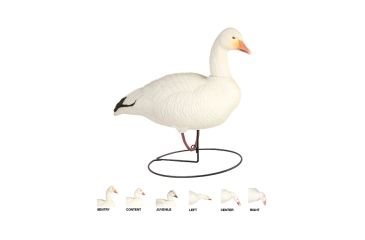 Image of Final Approach Last Pass HD Snow Goose,Full Body Field Outfitters 6 Pack 474192