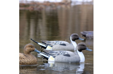 Image of Flambeau Classic Pintail Decoy, Color 1 : Grey/:Black, 8022SUV