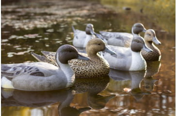 Image of Flambeau Classic Pintail Decoy