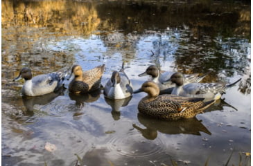 Image of Flambeau Classic Pintail Decoy
