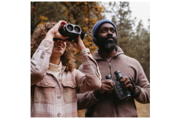 Image of Fujinon Techno-Stabi TS-L 16x40mm Stabilized Roof Prism Binoculars With Electronic Stabilization, Black/Grey, 185.5mm x 122mm x 72mm, 16900903