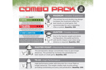Image of Gamo .22 Caliber Assorted Pellets, 4 Types, 950 Combo Pack, 63209295554