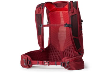 Image of Gregory 20 Liters Maya Plus Daypack, Iris Red, One Size, 146673-9975