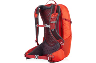 Image of Gregory Citro 24 Daypack, Brick Red, One Size, 126879-1129