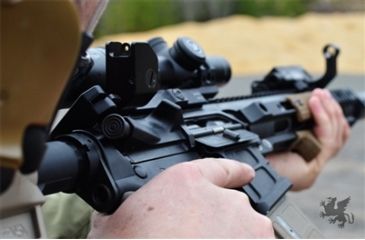 Image of Griffin Armament Fail Safe Sights Right Hand, Black GAFSS