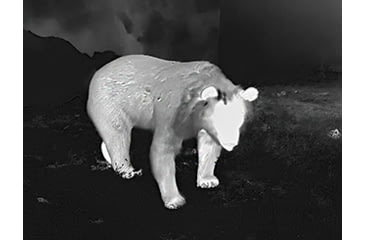 Image of Guide Sensmart TR Series TR630 2-8x35mm Thermal Rifle Scope, 640x480, Black, TR630