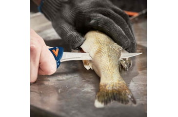 Image of Havalon Talon Fish Interchangeable Fixed Blade Knife Set, 4 Blades, Roll-Pack, Box, Blue/Orange, XTI-TF