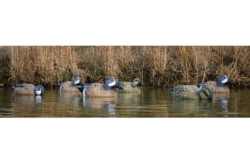 Image of Higdon Outdoors 19953 Standard Blue Wing Teal Species Multi Color Foam Filled 6