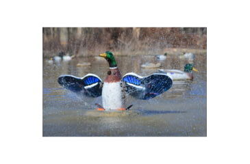 Image of Higdon Outdoors 53077 XS Splashing Flasher Mallard Drake Multi Color Rechargeable