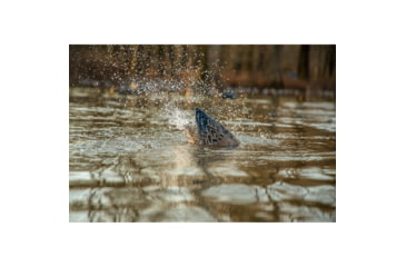 Image of Higdon Outdoors 54074 Pulsator Mallard Hen Species