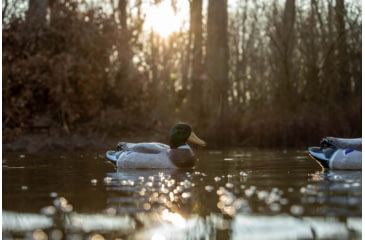 Image of Higdon Outdoors Battleship Oversized Mallards Pack, Flocked Heads, 6 Pack, 16034