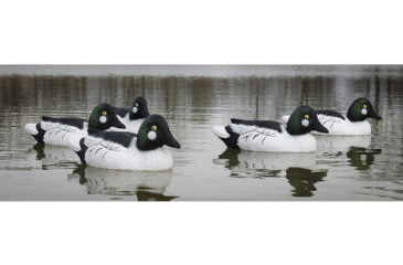 Image of Higdon Outdoors Higdon Outdoors Standard Goldeneye Foam Filled Drakes 6pk, 19733