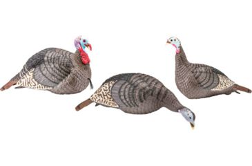 Image of Hunters Specialties Hs Strut Turkey Decoy Flock Strut-lite Hen/jake/feeder Hen