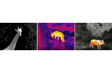 Image of Infiray C2W Thermal Imaging Monocular, White and Black, EYE 1-C2W