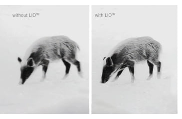 Image of Leica Calonox 2 Sight LRF 2.5x Thermal Rifle Scope, 60 Hz, 1280x960, Black, 50510