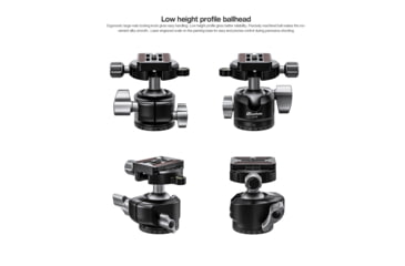 Image of Leofoto LS-284C/LH-30LR X Version Ranger Series Tripod w/Ballhead Set, Black, LS-284CX+LH-30LR