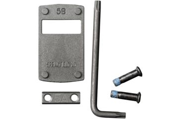 Image of Leupold DeltaPoint Pro Dovetail Mount, Springfield Matte 170910