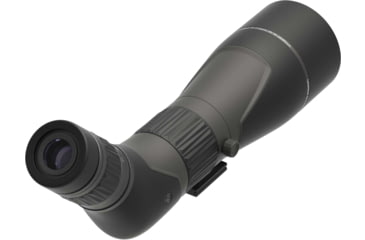 Image of Leupold SX-2 Alpine HD Gen 2 20-60x80mm Spotting Scope, Angled, 16.7in Length, Grey/Black, 185686