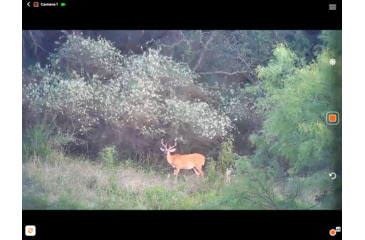 Image of Longshot by Target Vision Hawk Smart Spotting Scopes Camera, TV-CF301