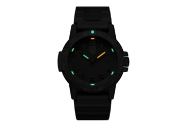 Image of Luminox Leatherback Sea Turtle Giant Watches, Black/Black, 44 mm, 0321.BO