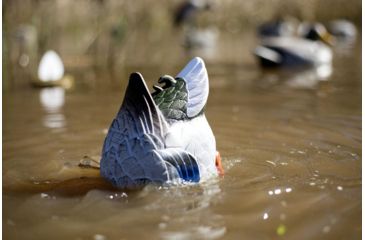 Image of Mojo Butt Up Rippler Motion Decoy HW2459