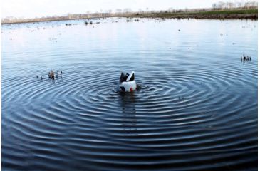 Image of Mojo Butt Up Rippler Motion Decoy HW2459