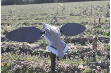 Image of Mojo Elite Series Dove Decoy