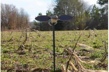 Image of Mojo Elite Series Dove Decoy